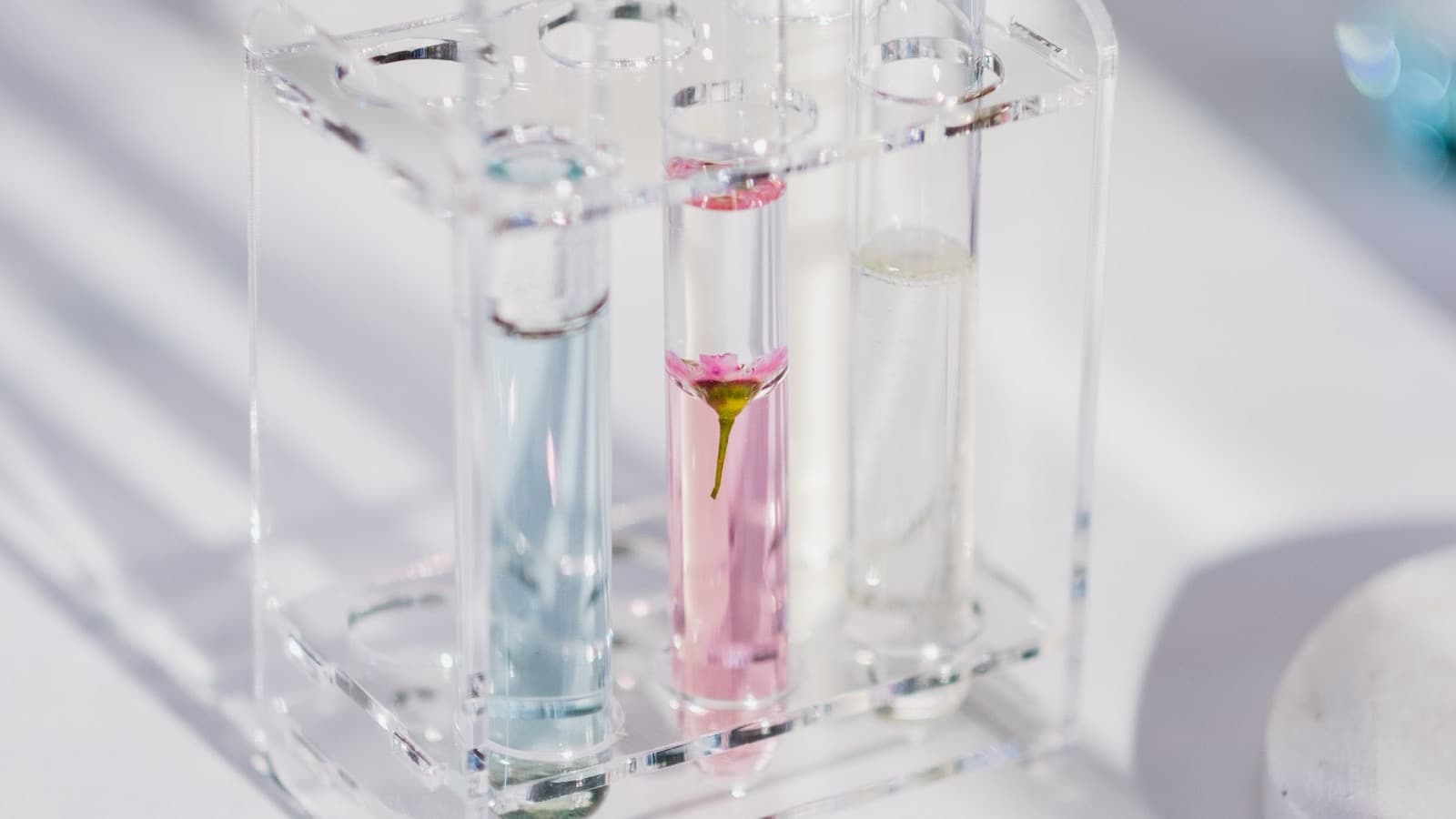 Three laboratory test tubes containing clear, blue, and pink liquids