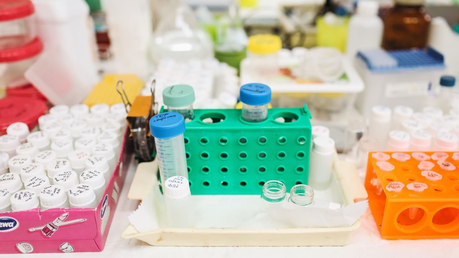 Labeled laboratory tubes and open sample containers on a workbench